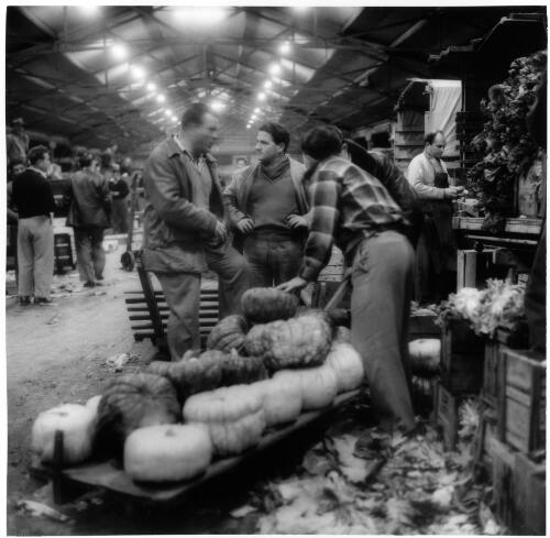 Buying and selling pumpkins, wholesale market, Queen Victoria Markets, Melbourne, 1956 [picture] / Jeff Carter