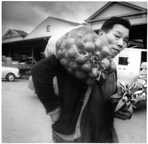 Chinese market gardener at the Queen Victoria Markets, Melbourne, 1956 [picture] / Jeff Carter