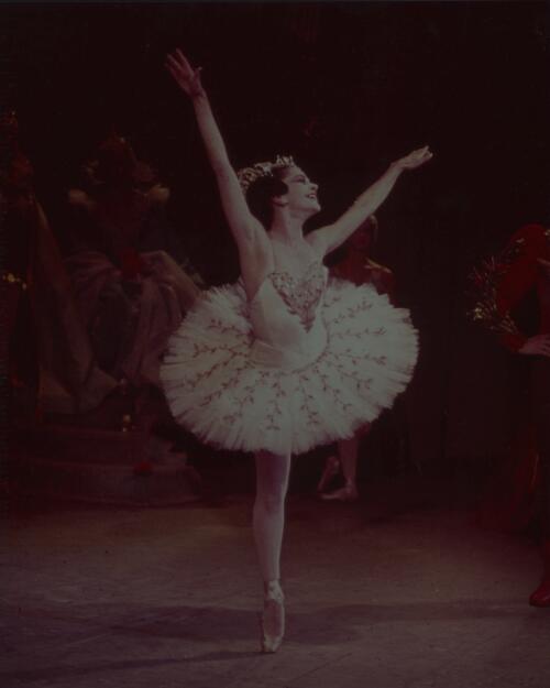 Borovansky Ballet performance of The Sleeping Princess, starring Kathleen Gorham as Aurora, 1959 [picture] / Walter Stringer