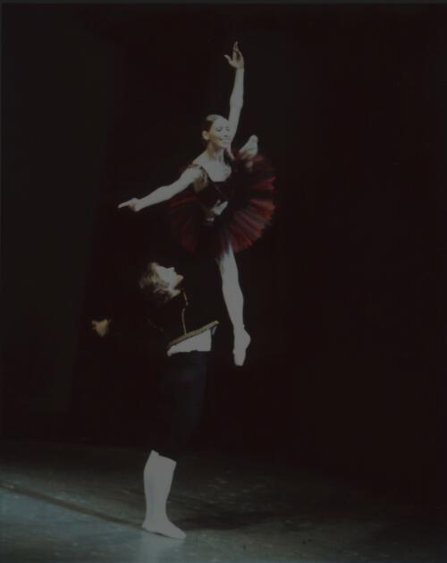 Ballet Victoria performance of Don Quixote, starring Natalia Makarova and Mikhail Baryshnikov in pas de deux, 1975 [picture] / [Walter Stringer]