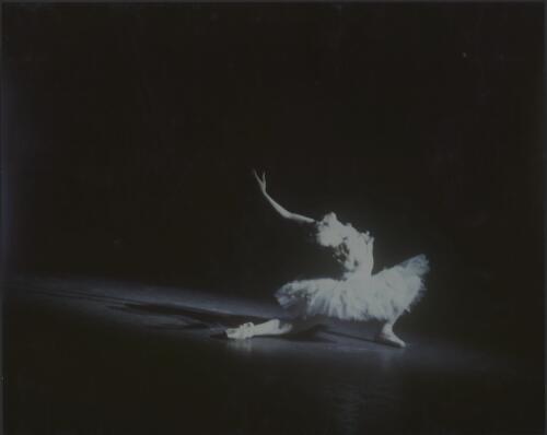 Portrait of Natalia Makarova in Dying Swan, Ballet Victoria, 1975, [1] [picture] / [Walter Stringer]