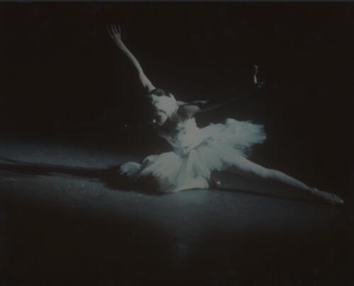 Portrait of Natalia Makarova in Dying Swan, Ballet Victoria, 1975, [3] [picture] / [Walter Stringer]