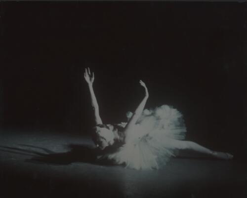 Portrait of Natalia Makarova in Dying Swan, Ballet Victoria, 1975, [4] [picture] / [Walter Stringer]