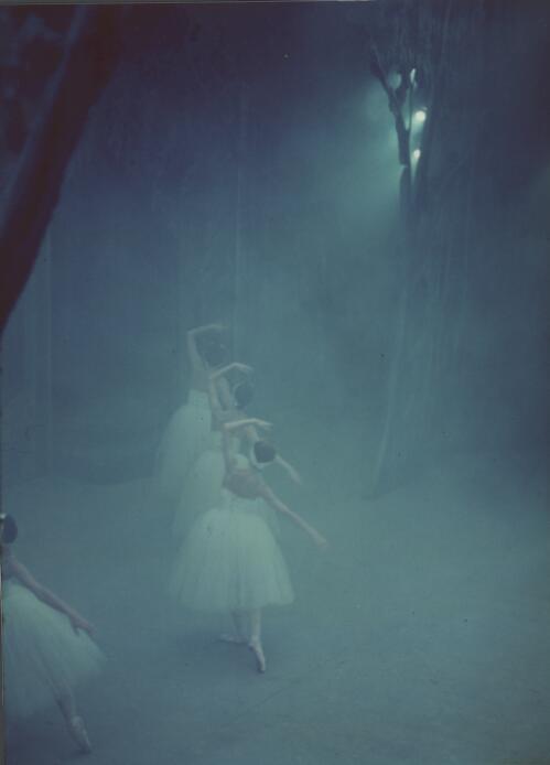 Australian Ballet performance of Swan lake, early 1960s [picture] / [Walter Stringer]