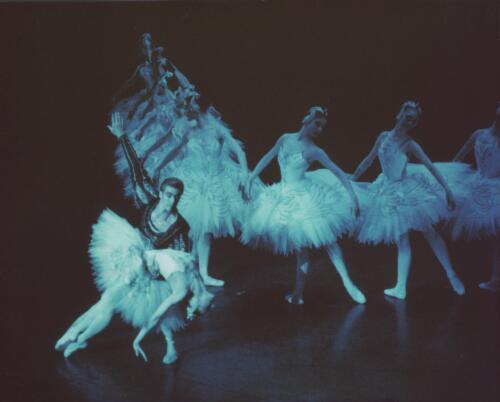 Australian Ballet performance of Swan lake, 1977, [1] [picture] / Walter Stringer