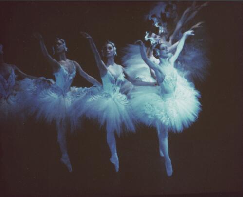 Australian Ballet performance of Swan lake, 1977, [4] [picture] / Walter Stringer