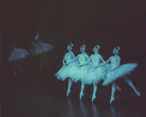 Australian Ballet performance of Swan lake, dance of the little swans, Act II, 1977 [picture] / Walter Stringer