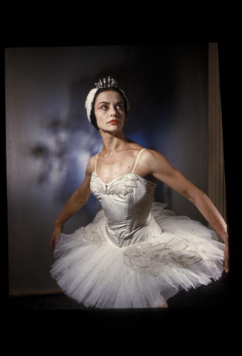 Iovanka Biegovic, Swan Lake, 1960, Borovansky Ballet [transparency] / Walter Stringer
