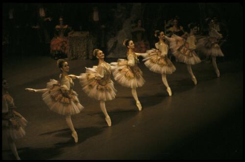 Artists of the Australian Ballet in the Australian Ballet production of Don Quixote, c. 1979 [transparency] / Walter Stringer