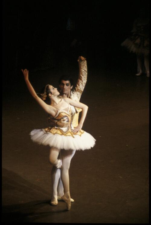 Christine Walsh as Kitri and Gary Norman as Basilio in the Australian Ballet production of Don Quixote, c. 1979 [transparency] / Walter Stringer