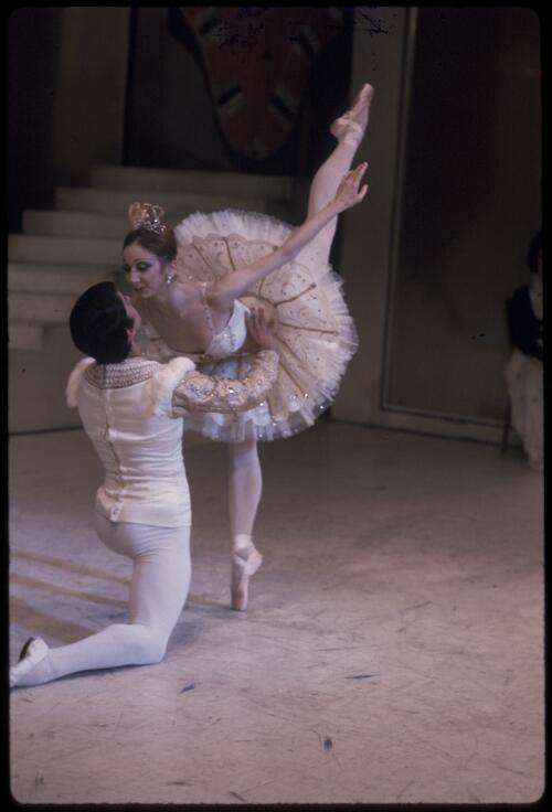 Maina Gielgud and Gary Norman in the grand pas de deux from the Australian Ballet production of 'The sleeping beauty' 1974 [2] [transparency] / Walter Stringer