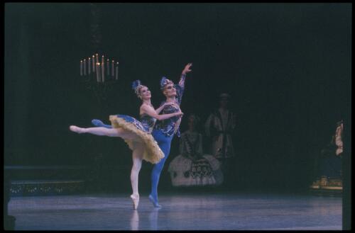 David McAllister and Elizabeth Toohey as the Bluebirds in the Australian Ballet production of 'The sleeping beauty' 1984 [transparency] / Walter Stringer