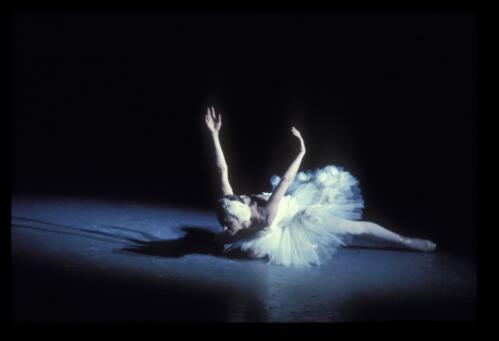 Natalia Makarova in the Ballet Victoria production of The Dying Swan, 1975, [1] [transparency] / Walter Stringer