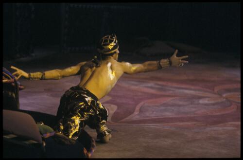 Gary Norman as the Golden Slave in Scheherazade, the Australian Ballet, 1980 [transparency] / Walter Stringer