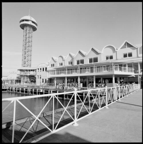 [Lookout tower at the Queen's wharf, Newcastle, NSW] [picture] / [Loui Seselja]
