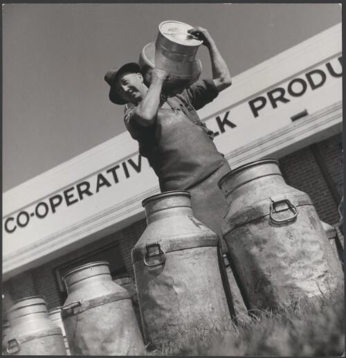 Milk carrier Frederick (Fred) Jones delivers full milk cans at Drouin's co-operative milk factory, Drouin, Victoria [picture] / photo by [Jim] Fitzpatrick