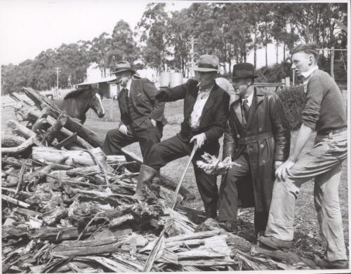 Four unidentified men discussing a large pile of wood, Drouin, Victoria [picture] / photo by [Jim Fitzpatrick]