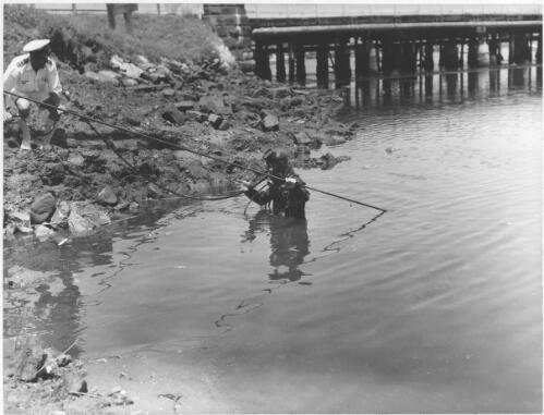 Royal Australian Navy lieutenant and diver installing coaxial cable across a tidal river, New South Wales, 1961 [picture]