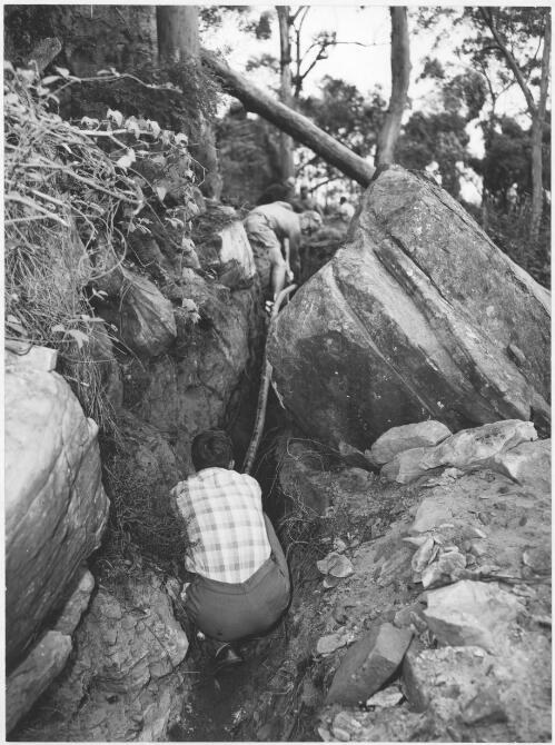 Cable being laid into trench at approach to Nepean River crossing at Douglas Park near Campbelltown, New South Wales, 1961 [picture]