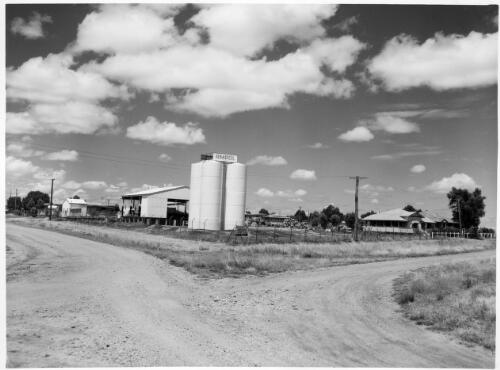 View of the general layout of the Roma depot, Queensland, January 1962 [picture]
