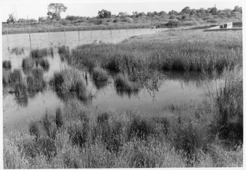 View of the lagoon and a portion which was origianlly the BP site, Bourke, February, 1963 [picture]