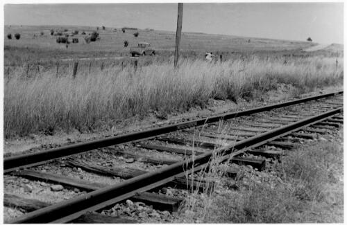 Looking over the Queanbeyan depot site from the railway, also showing the road that goes past the site, February, 1956 [picture]