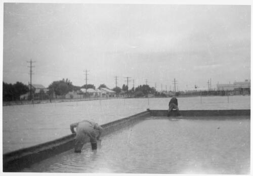 Unidentified men working in flood conditions at the Bourke depot looking towards the town [1] [picture]