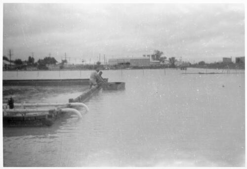 Unidentified men working in flood conditions at the Bourke depot looking towards the town [2] [picture]