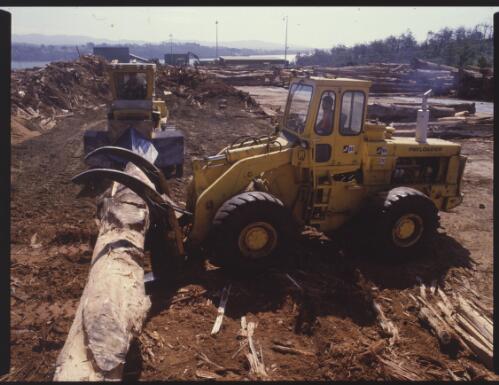 A wheel loader putting down a log for a bulldozer with a splitting wedge on the blade to split the log in Tasmania [transparency]