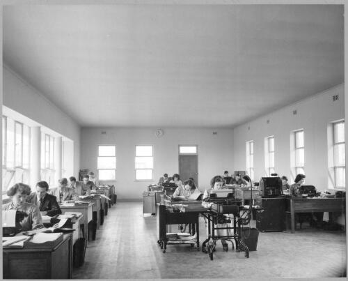 Interior view of the general section of the new office block containing the Sales Clerical Section and the Credit Department with staff working, June, 1951 [picture]