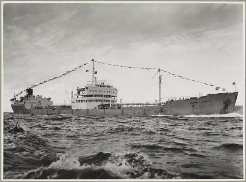 A view of the William G. Walkley at sea making its way to Birkenhead, South Australia, on its first visit, October, 1955 [picture]