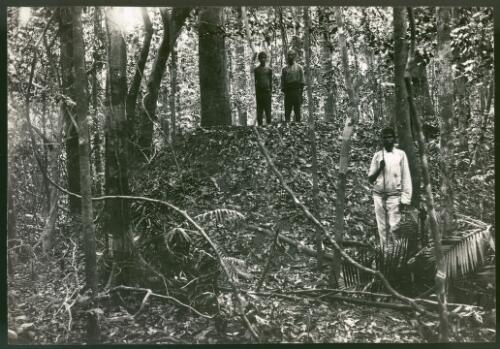 Three unidentified Aboriginal men in forest, two standing on top of large mound of leaves [picture] / D. Le Souef
