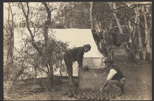 Two men loading emus eggs into a wooden box at Eggers' camp site, Riverina, Victoria, ca. 1895 [picture] / Archibald James Campbell