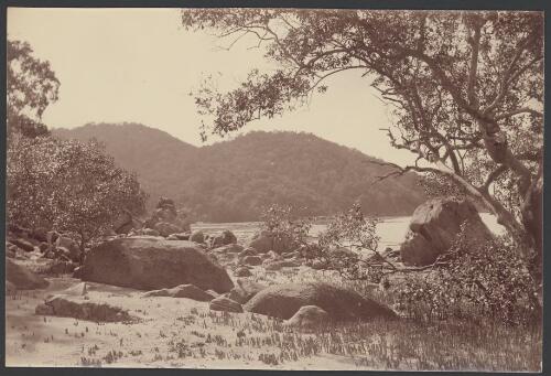 View of Goold Island [picture] / Archibald James Campbell