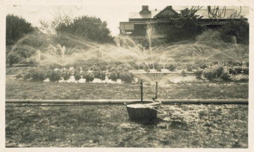 Irrigating the garden at Belltrees,  New South Wales [picture]/ H. L. White