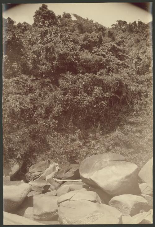 Unidentified man standing at the entrance of a swiftlets cave on Dunk Island [picture] / Archibald James Campbell