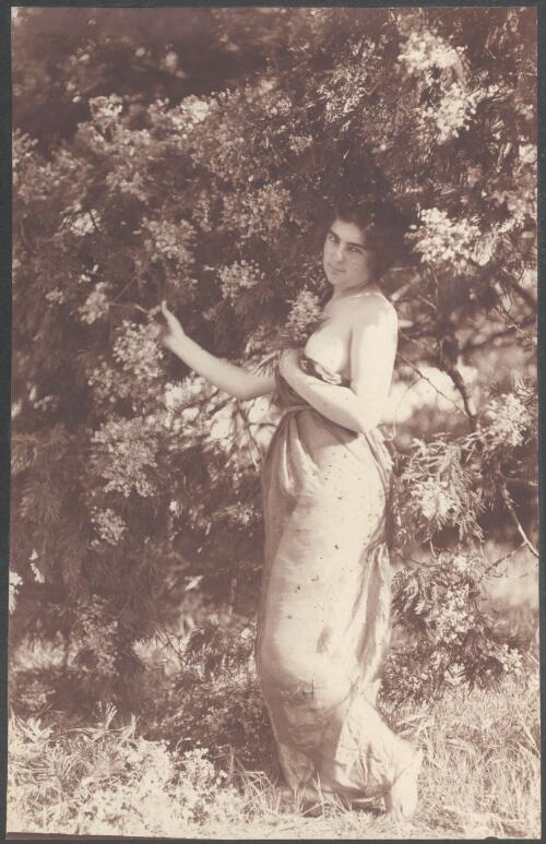 [Unidentified woman holding a wattle branch, between 1896 and 1903, 2] [picture] / A.J. Campbell