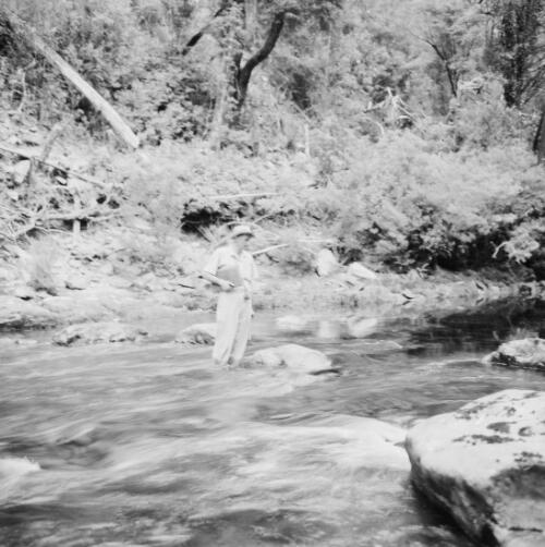 Member of reconnaissance party standing midstream, Gordon River, Hydro-Electric Commission first Albert Rapids Reconnaissance, Tasmania, ca. 1948 [picture] / Russ Ashton