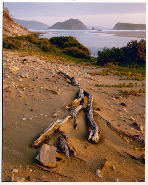 Evening at Louisa Bay, south coast, southwest Tasmania, 1983 [picture] / Peter Dombrovskis