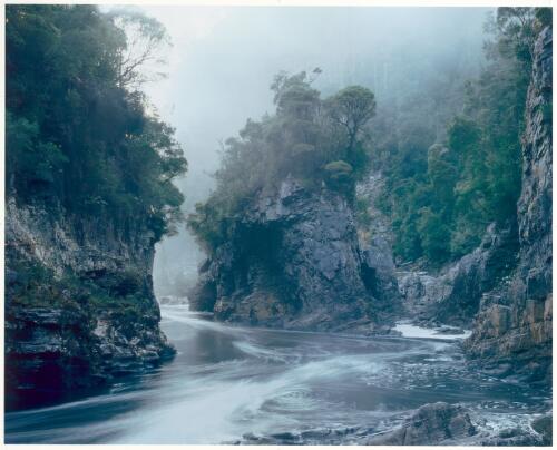 Morning mist, Rock Island Bend, Franklin River, Tasmania, 1979 [picture] / Peter Dombrovskis