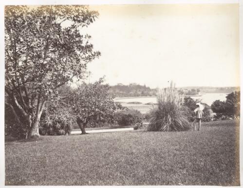 Botanical Gardens, Sydney, view looking to Farm Cove [picture]