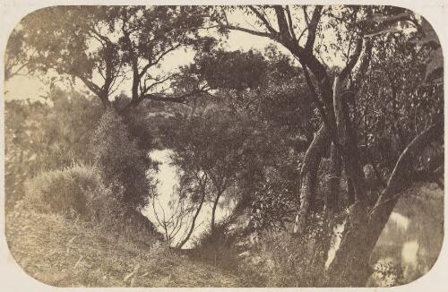 Natiola Creek [1] [picture]/ Frederic Bonney