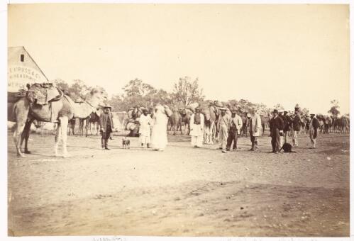 Arrival of Hon. T. Elder's camels at Wilcannia township bringing stores from Burra Burra, South Australia, May 12th 1869 [2] [picture]