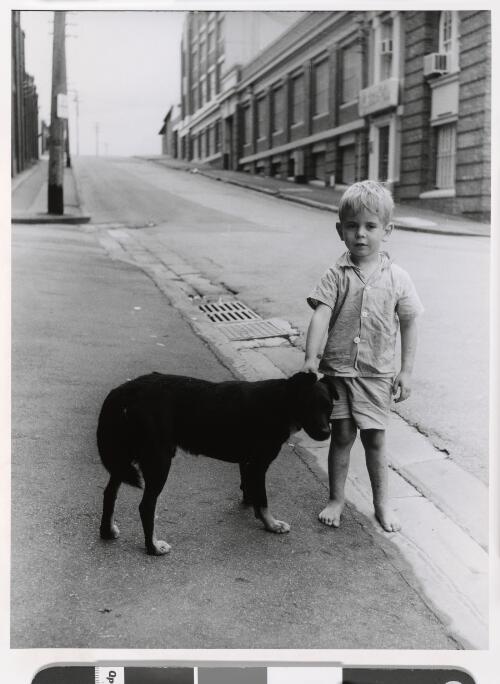 Boy with black dog, Surry Hills, Sydney, 1965 [picture] / Raymond de Berquelle