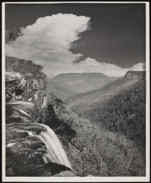 Fitzroy Falls from lookout, New South Wales / Frank Hurley