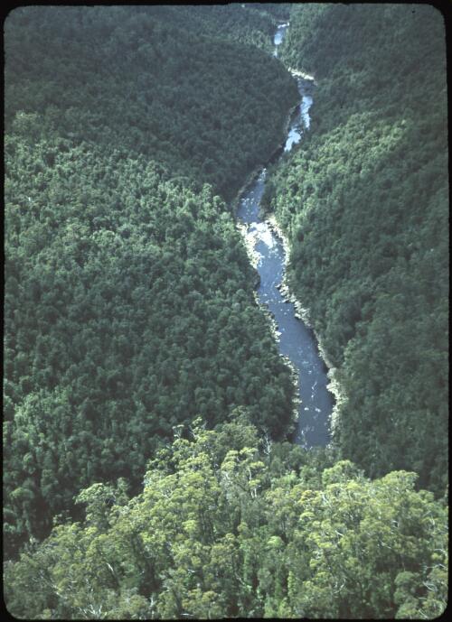 Pieman River, Zeehan dam site, Tasmania, ca. 1957 [transparency] / Russ Ashton