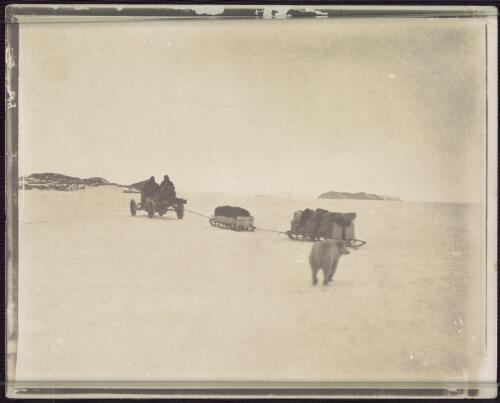 [Motor car towing two sleds with dog in foreground, Shackleton Antarctic expedition, 1907-1909] [picture]