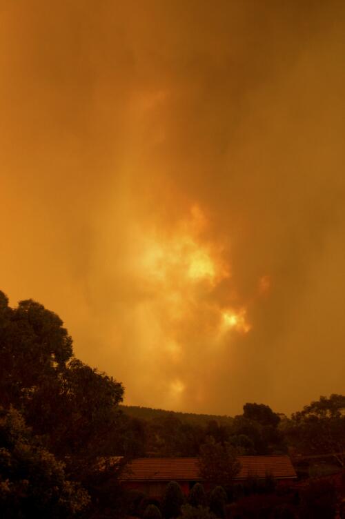 Canberra bushfires, 18 January to 14 February 2003 [picture] / Tony Miller