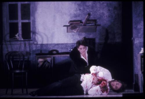 Bernadette Cullen and Neil Rosenshein in the death scene from Werther [transparency] / Don McMurdo