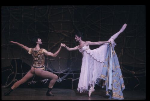 Andrea Toy in the Australian Ballet performance of Spartacus [transparency] / Don McMurdo
